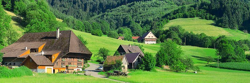 Fastenwandern im Schwarzwald - Bild des Hotels