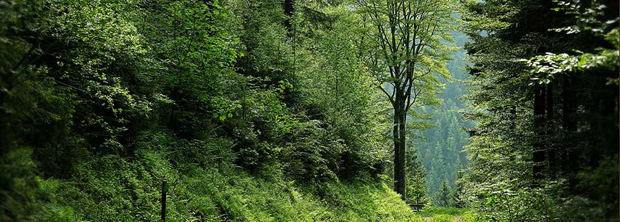 wandern-durchatmen-zur-ruhe-kommen