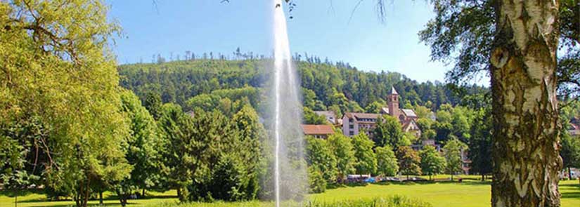 brunnen-fastenwandern-im-schwarzwald